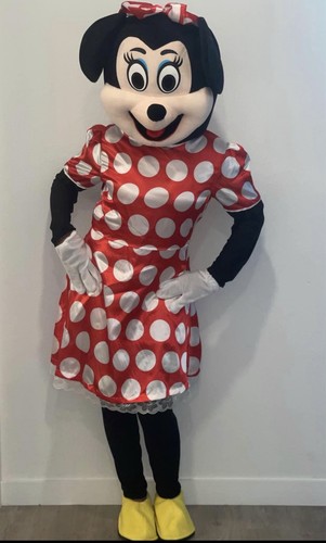 Minnie mouse party costume - minnie,